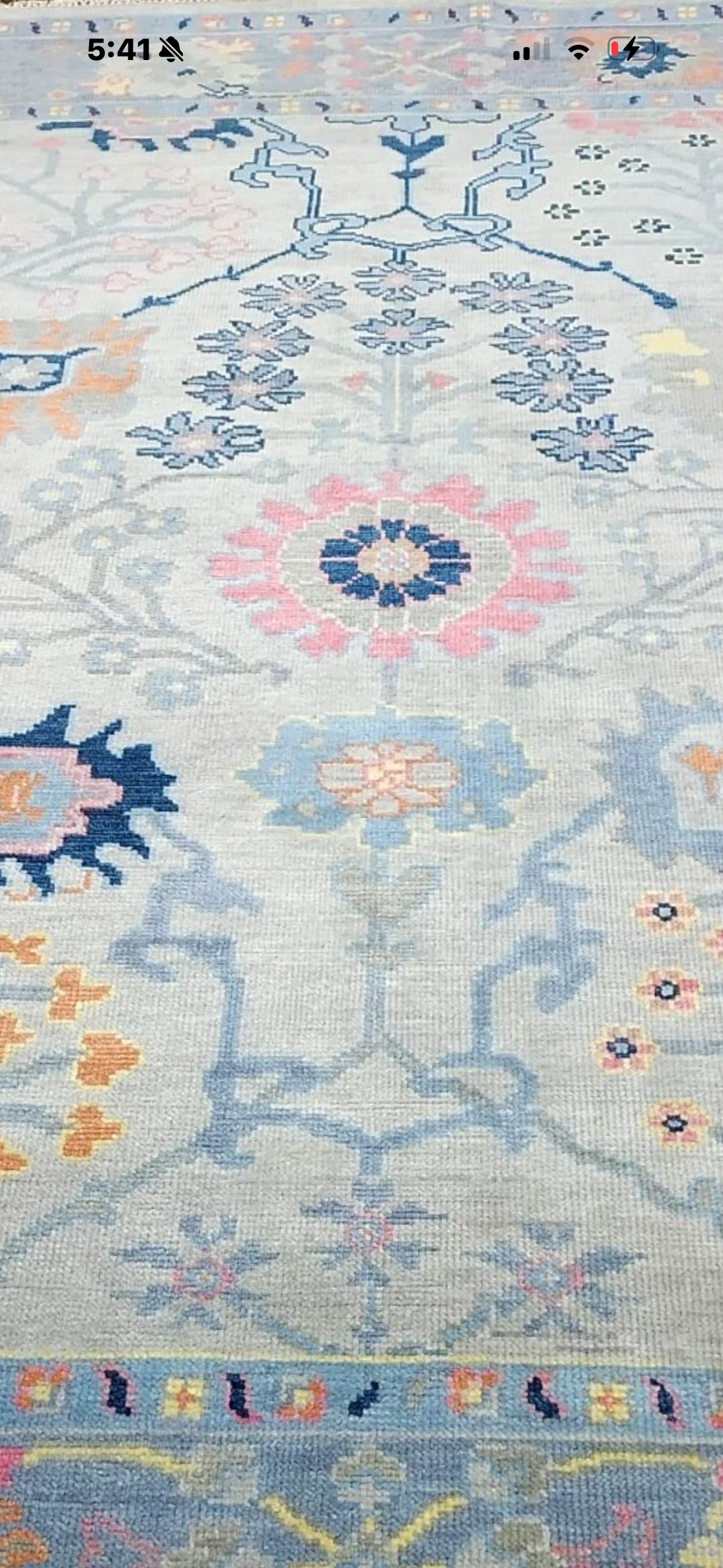 The Romney Rug