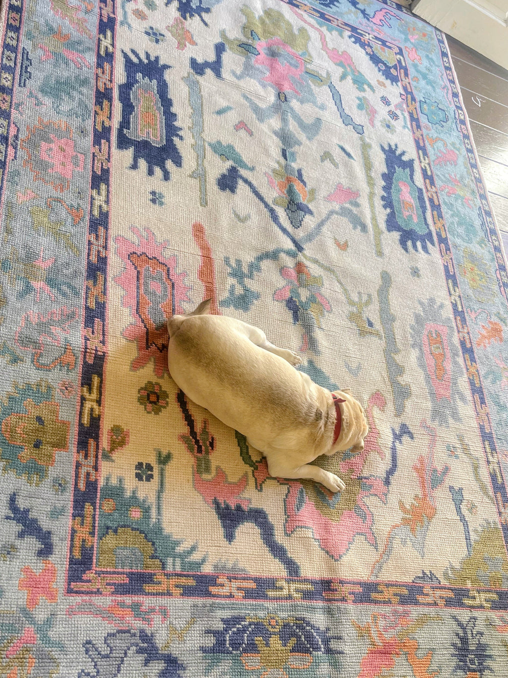 The Eliza Rug